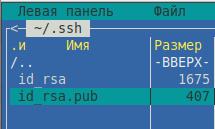 ../../../../_images/id_rsa_pub.png